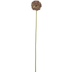 Bloomingville Allium Stiel, Braun, Künstliche Blume