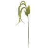 Bloomingville Foxtail Stiel, Grün, Künstliche Blume