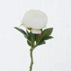 Boltze Stielblume Bauernrose