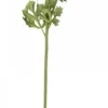 Chic Antique Fleur Butterblume melone