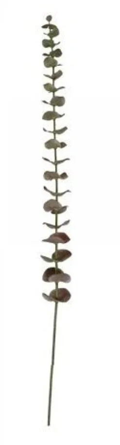 Chic Antique Fleur Eukalyptusblätter