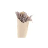 Chic Antique Fleur getrocknetes Pampagras Schilf