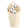 Chic Antique Fleur getrockneter Baumwollzweig