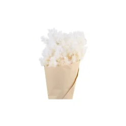 Chic Antique Fleur getrocknete Schleierspargel