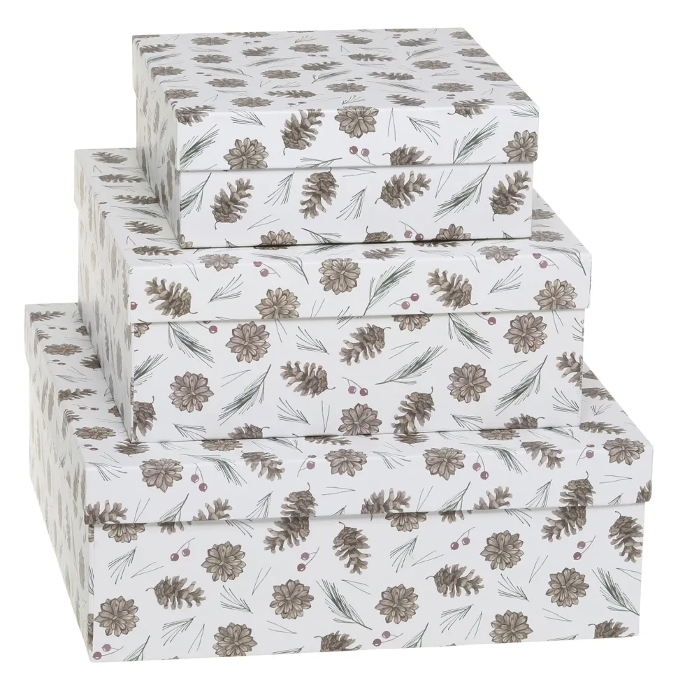 Chic Antique Geschenkbox 3er-Set mit Zapfen